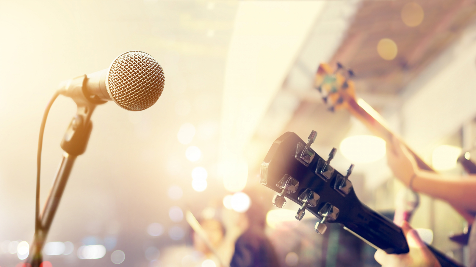 Hearing Protection for Musicians